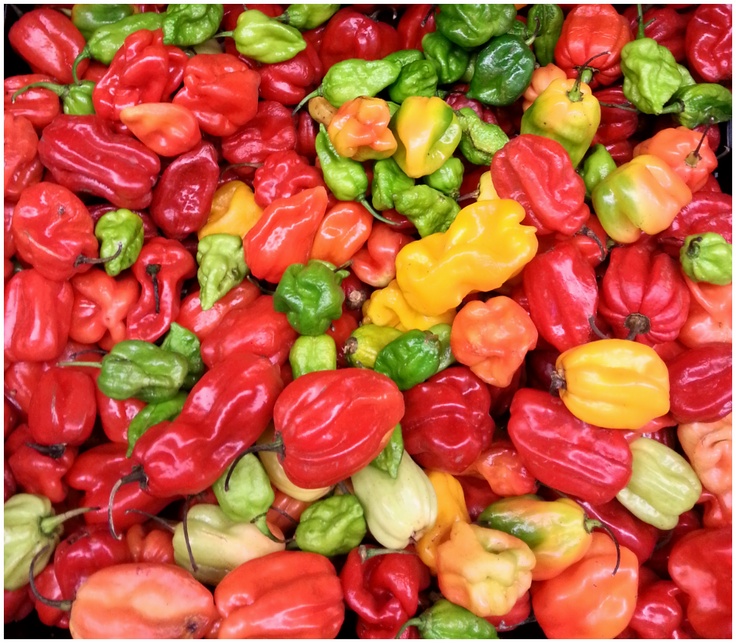 Piment africain frais