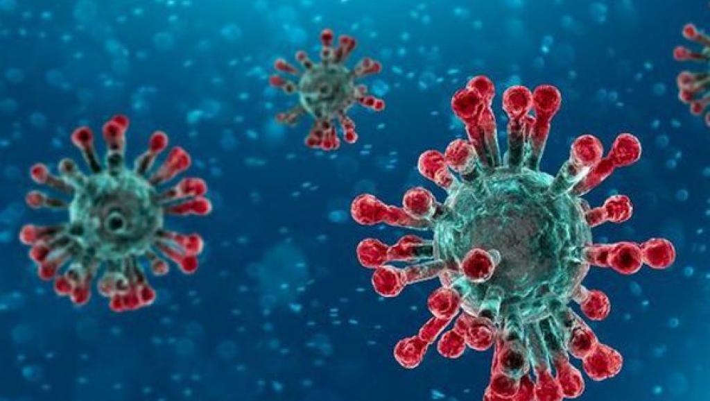 Coronavirus 