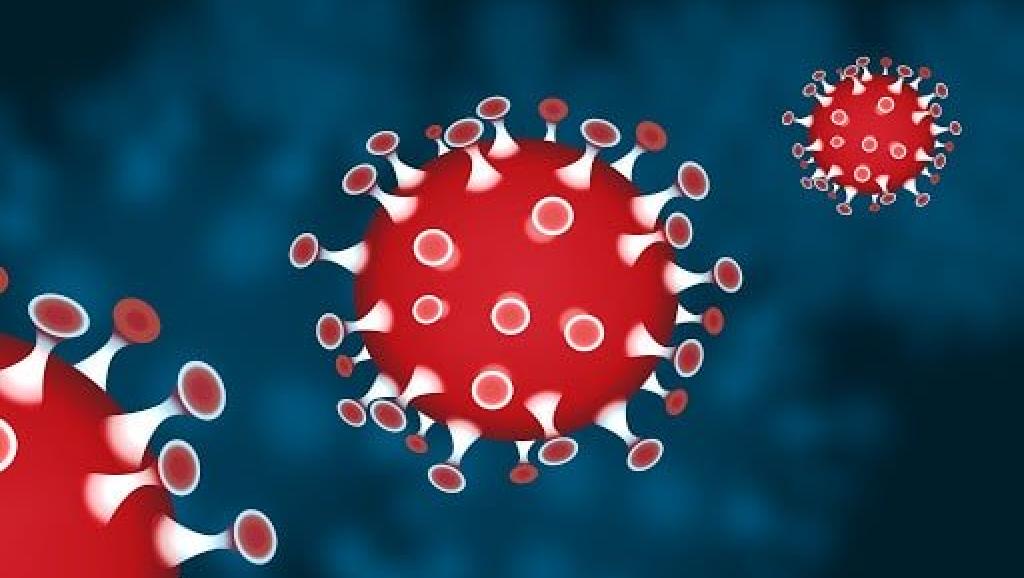Coronavirus 