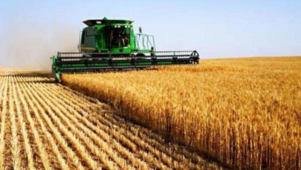 Agriculture 