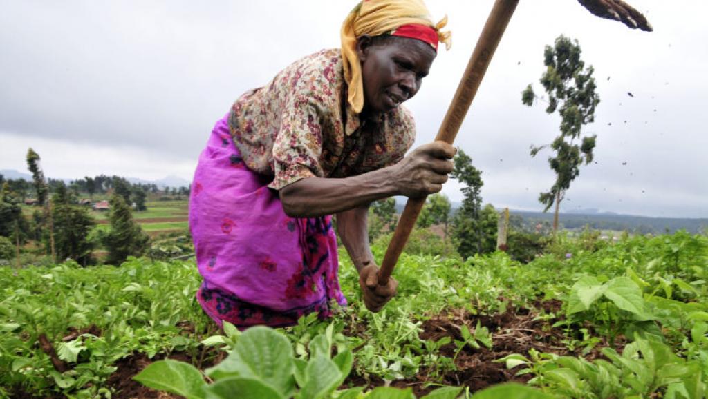 Agriculture 