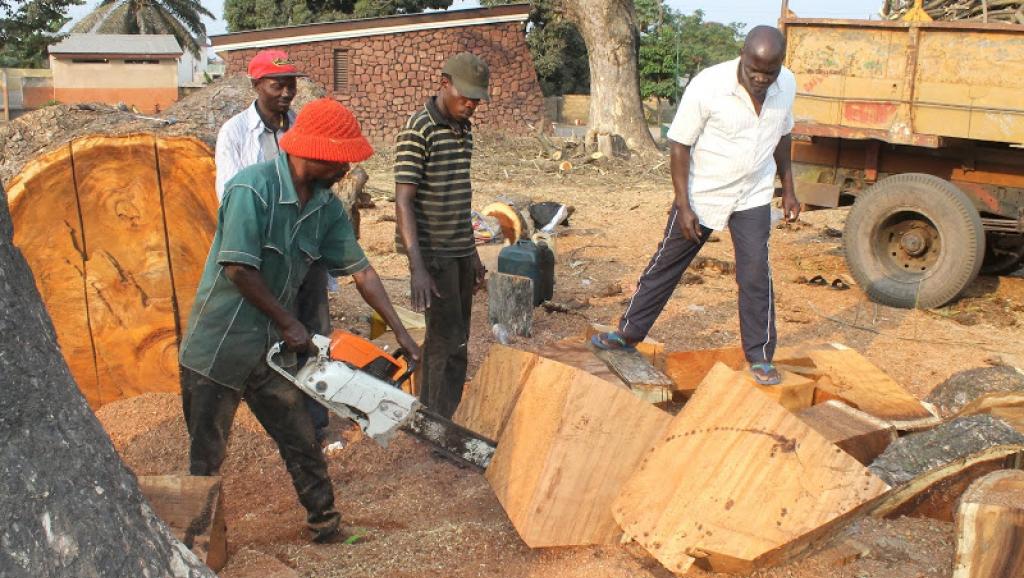foresterie communautaire