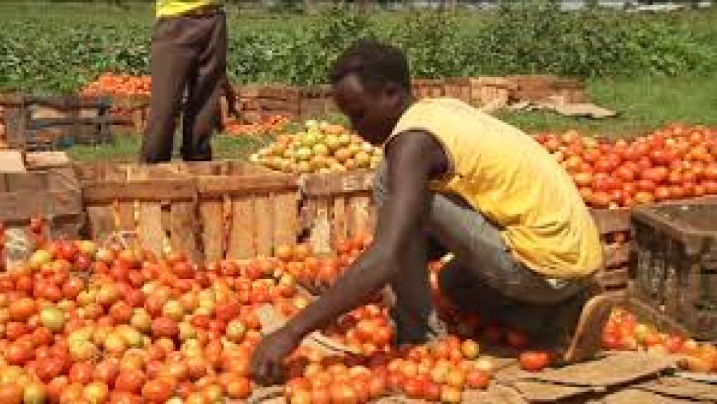entreprendre  