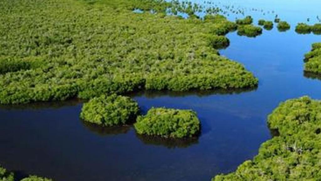 environnement 