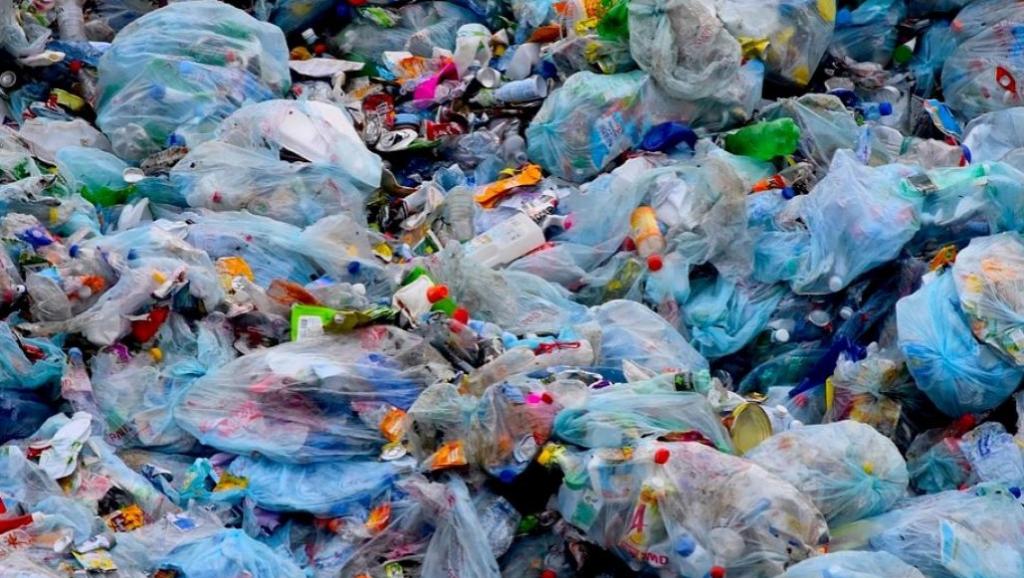 Des immondices en plastique. Ph. droits tiers.
