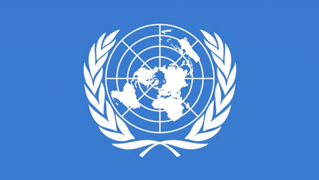 Drapeau des Nations-Unies. Ph. Droits tiers. 