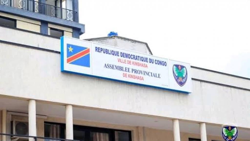 Assemblée provinciale de Kinshasa. Ph. Droits tiers.