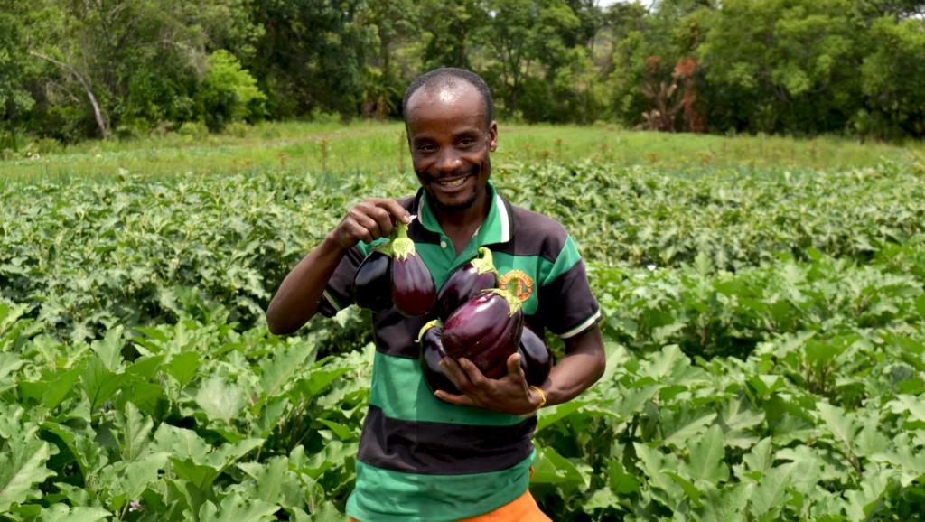 Un agriculteur assisté par MMG