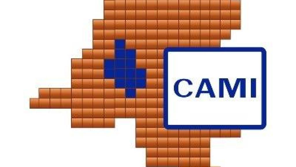 CAMI