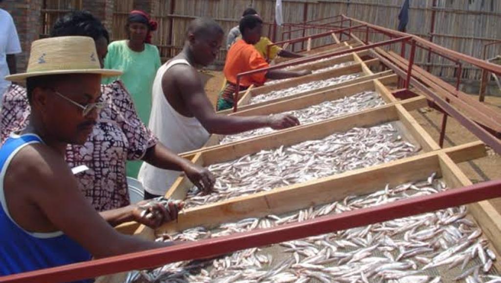 Lac Tanganyika