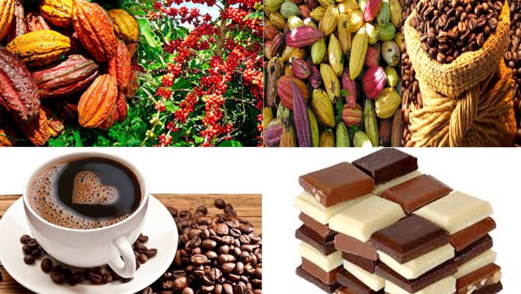 Les produits agricoles