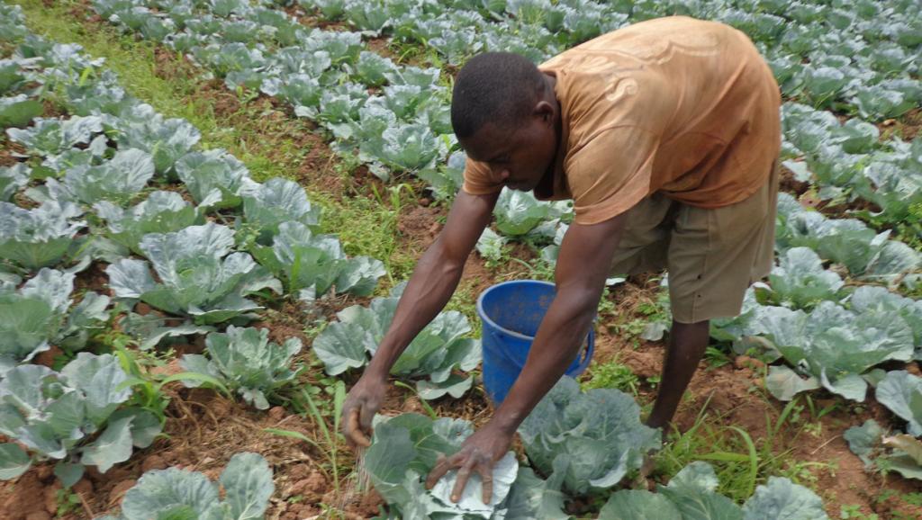 Un petit agriculteur dans un champ 