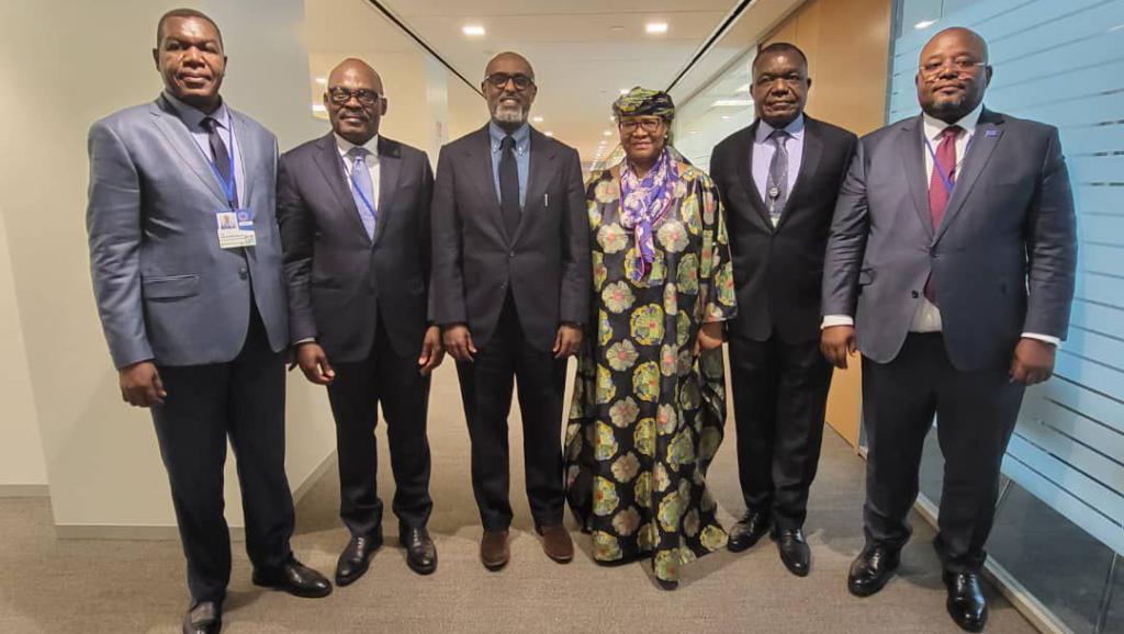 La RDC est représentée par les ministres des Finances et du Budget et par la Gouverneure de la BCC
