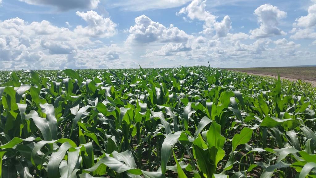 Les Fonds de péréquation devraient servir notamment à promouvoir les activités agricoles en milieux ruraux 