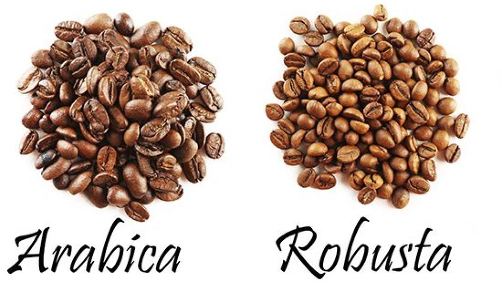 Le café