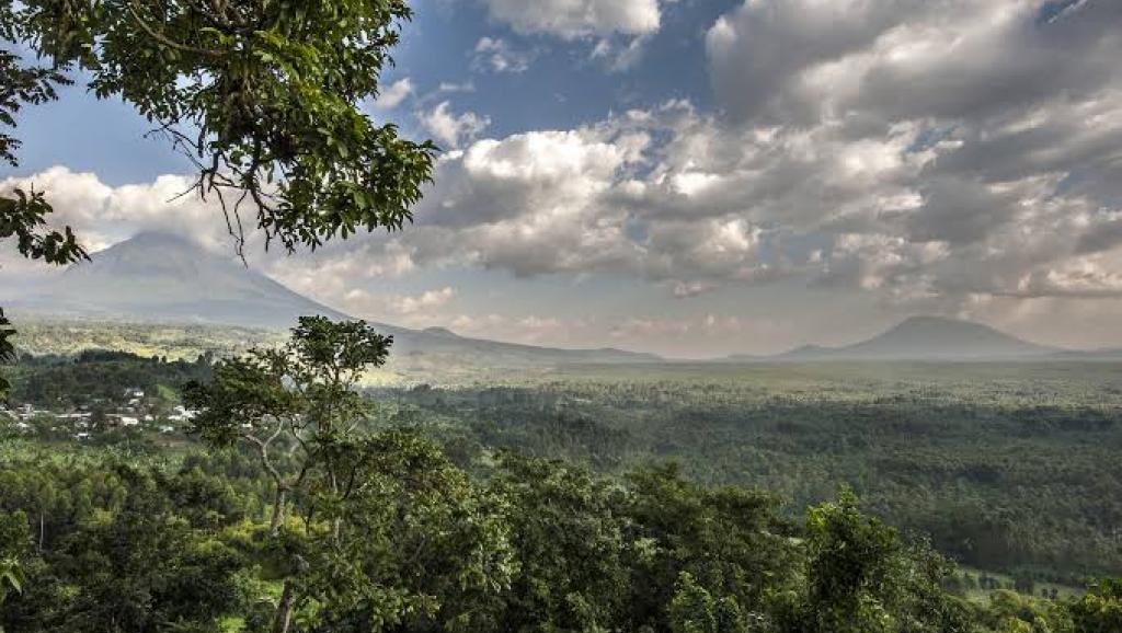 Parc national de Virunga