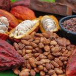 Café et cacao