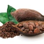 Le cacao