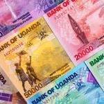 Shillings 