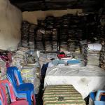 Maladie de la justice 