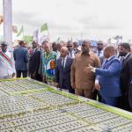 Photo d'illustration