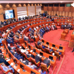 La chambre haute du parlement de la République démocratique du Congo  