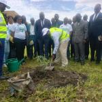 Plantation d'un arbre à l'INA
