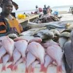 Photo d'illustration 