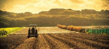 Parc agro-industriel