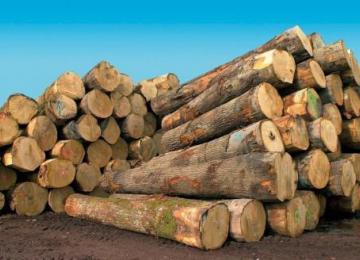 grumes