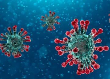 Coronavirus 