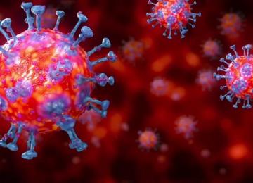 Coronavirus 