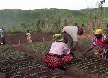 agriculture 