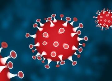 Coronavirus 