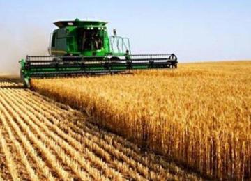 Agriculture 