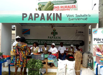 Papakin 