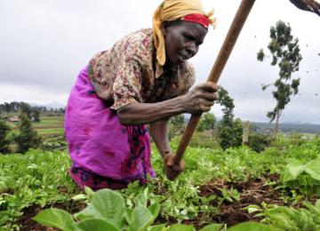 Agriculture 