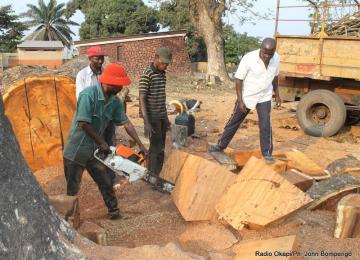 foresterie communautaire