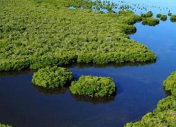 environnement 