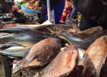Vendeuse des poissons
