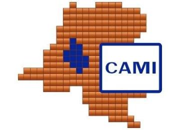 CAMI