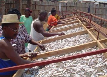 Lac Tanganyika
