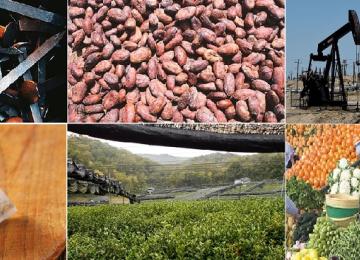 Les produits agricoles 