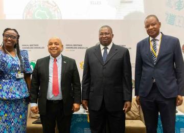 Membres du panel sur l'efficacité fiscale pour la mobilisation des ressources domestiques en Afrique