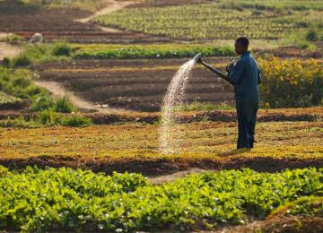 Un des défis est la complexité et la fragmentation extrêmes du système alimentaire mondial.