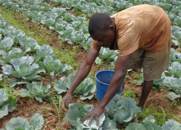 Ce financement aidera les PME africaines à adopter des modèles intelligents face au climat