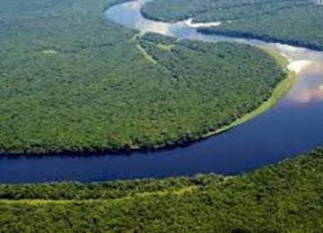 Une vue du Bassin du Congo