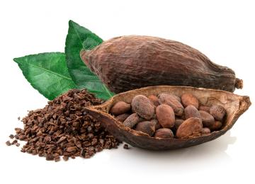 Le cacao