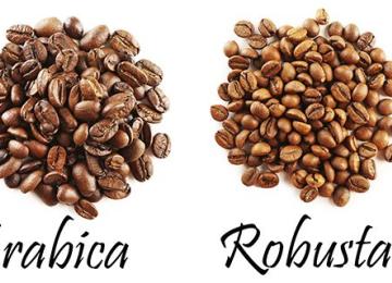 Le café