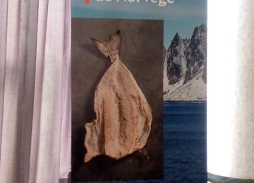 Makayabu de Norvège
